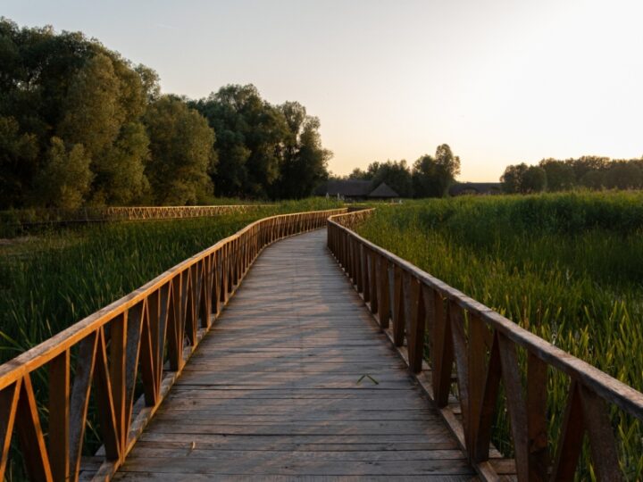 Gryfino wzbogaciło się o nową atrakcję – drewniany most na Górce Miłości
