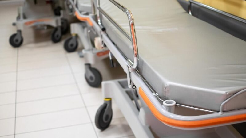 Przedszkolaki uczą się pierwszej pomocy z Misiem Gustawem