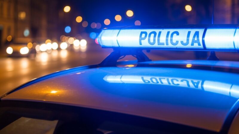Majówka w spokoju – 7 zatrzymanych, 1 kierowca pod wpływem narkotyków